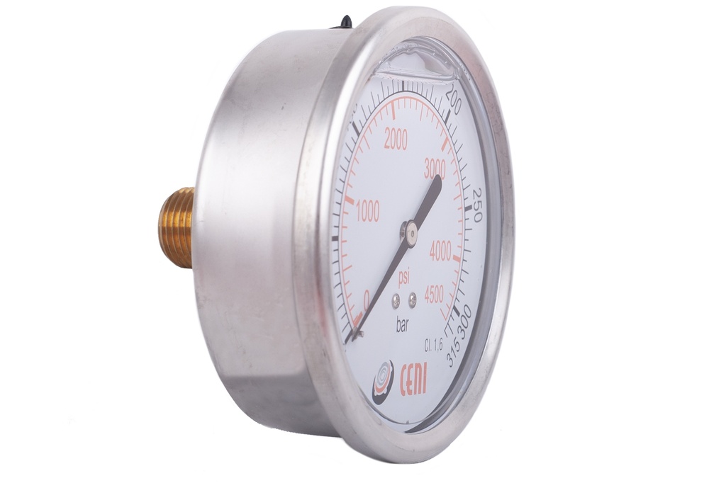 22Ø100 P 1/2"NPT 315 bar-psi