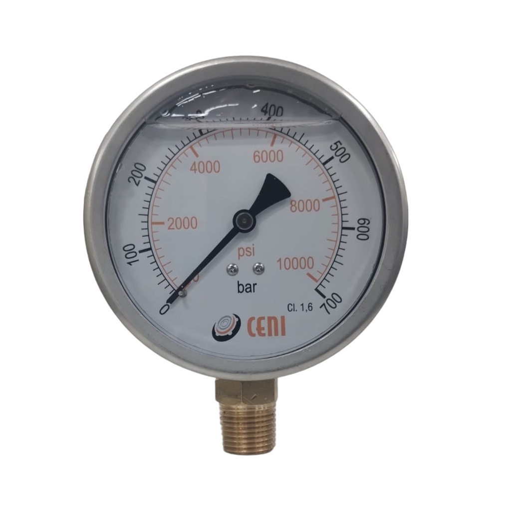 22Ø100 R 1/2"NPT 700 bar-psi